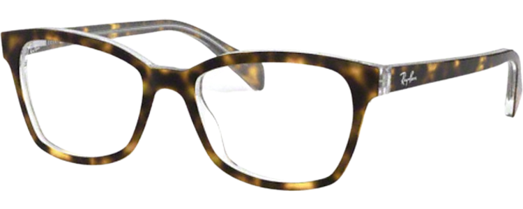 HAVANA ON TRANSPARENT