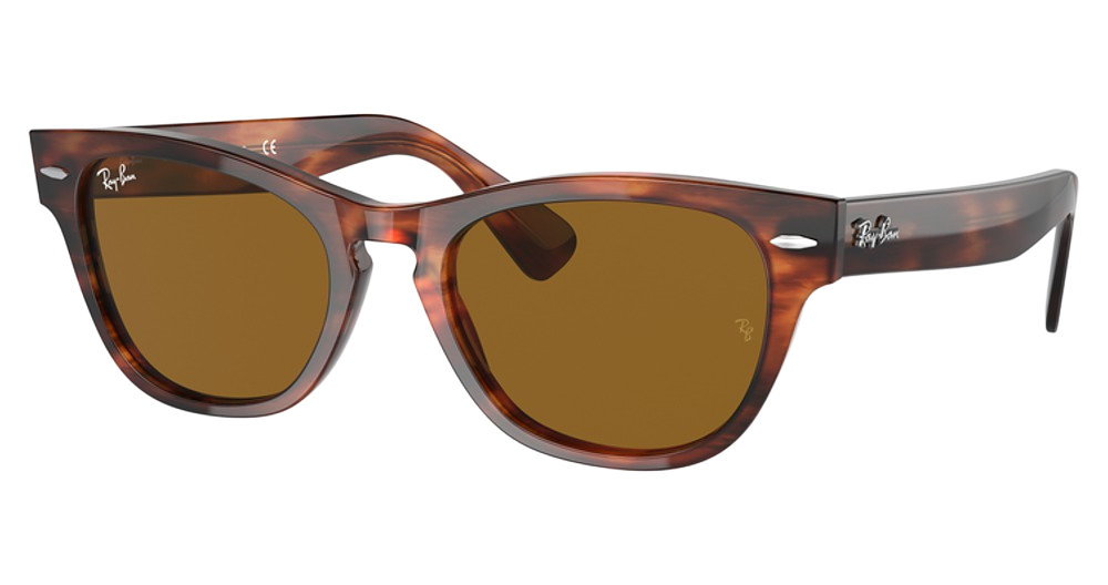 Ray-Ban RB2201 round sunglasses in Striped Havana/Brown