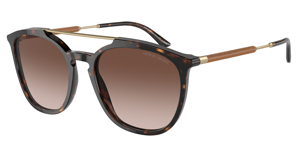 HAVANA / GRADIENT BROWN