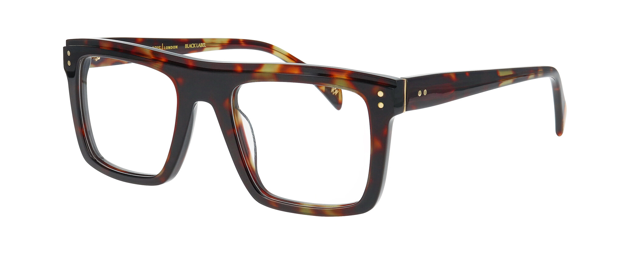 TORTOISE DARK SHINY