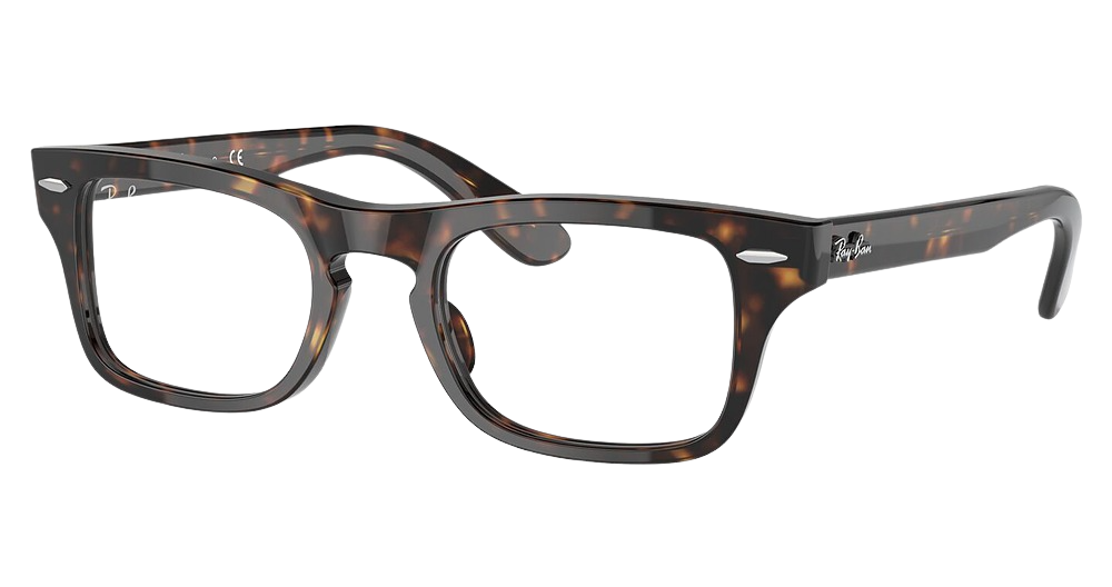 Ray-Ban RY9083V JUNIOR BURBANK rectangle eyeglasses in Havana