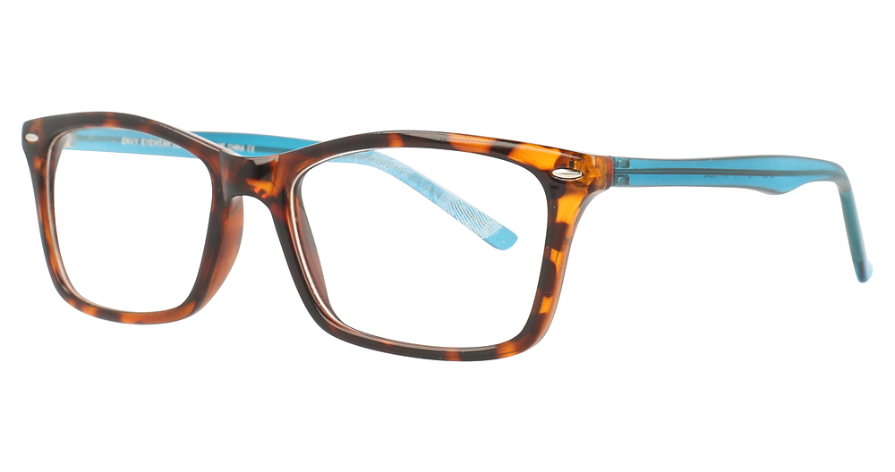 TORTOISE/BLUE