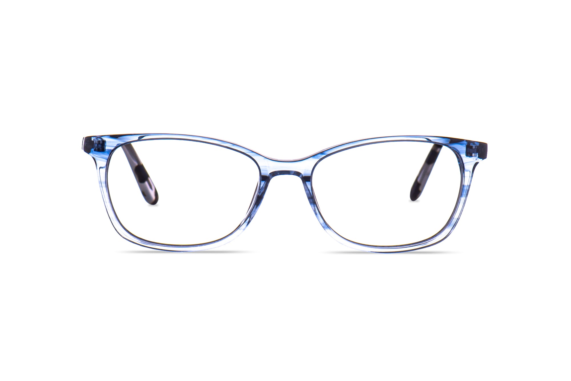 BLUE CLOUD FRONT SNOW LEOPARD TEMPLE