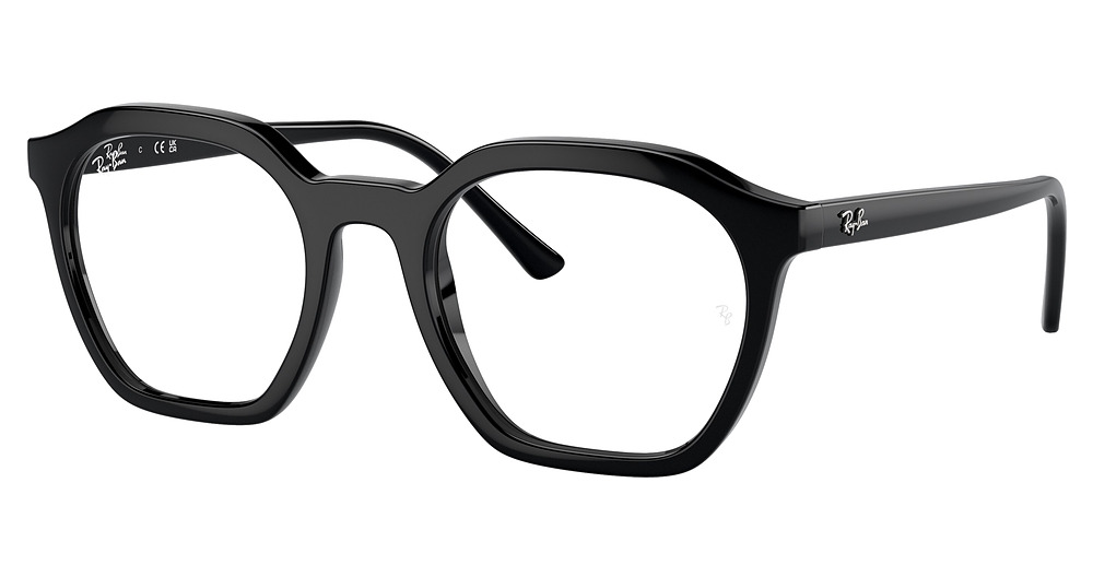 Ray-Ban RX7238F ALICE eyeglasses in Black
