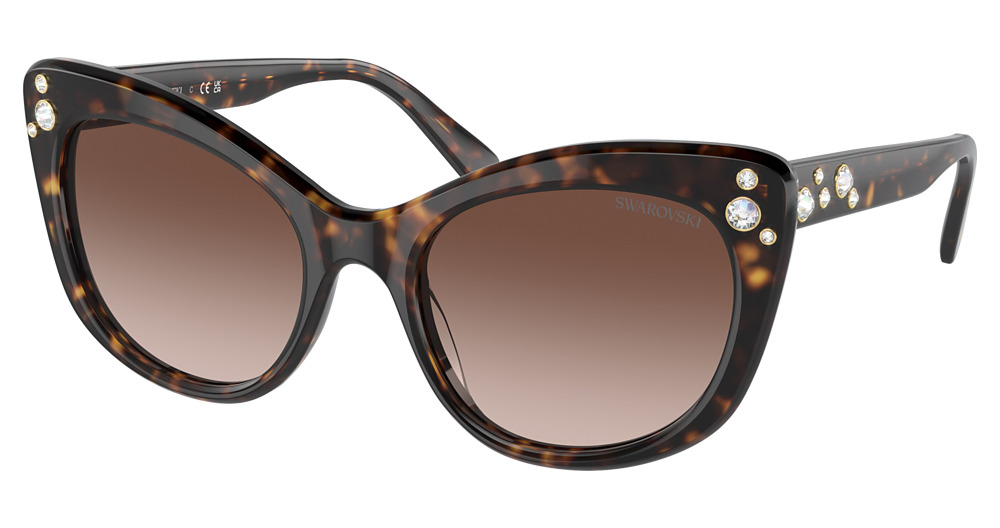 HAVANA / GRADIENT BROWN