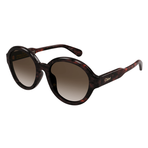 HAVANA / BROWN