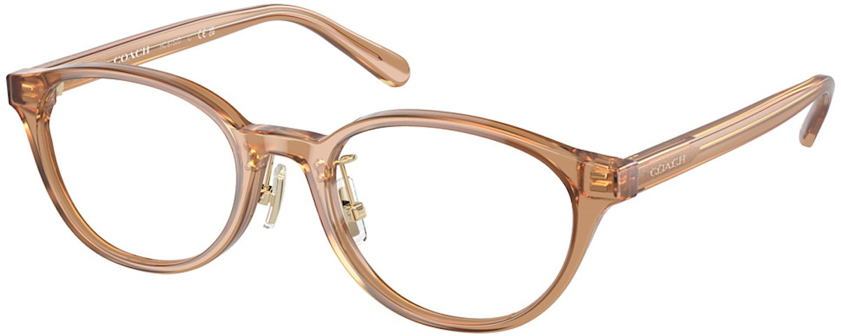 TRANSPARENT BROWN