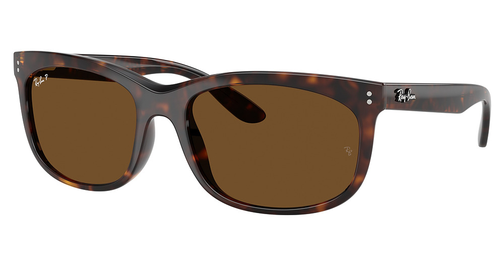 HAVANA / POLAR BROWN