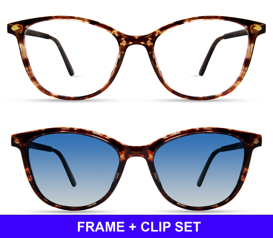 TORTOISE - SET