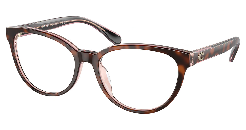 TORTOISE / TRANSPARENT P