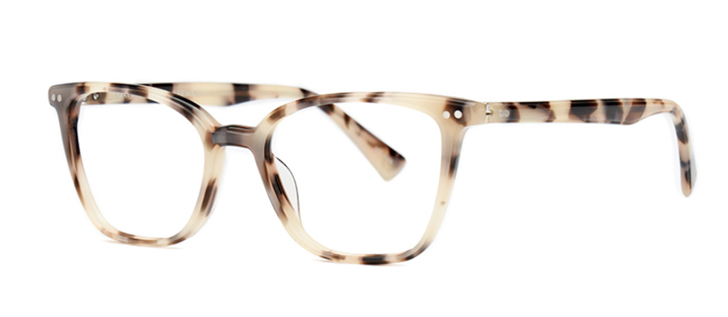 Porcelain Tortoise