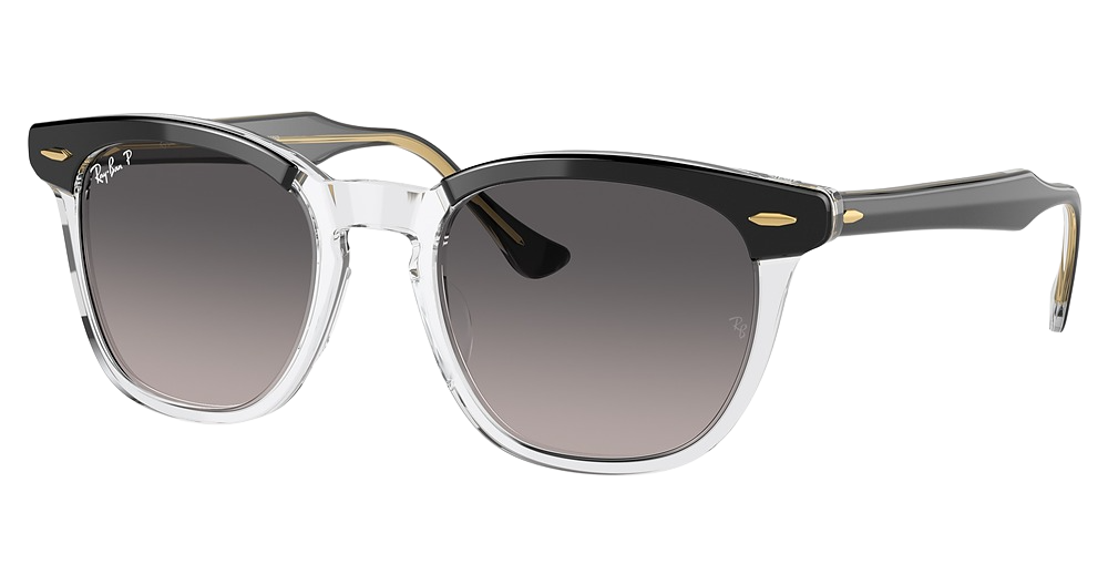 BLACK ON TRANSPARENT / GREY GRADIENT POLAR