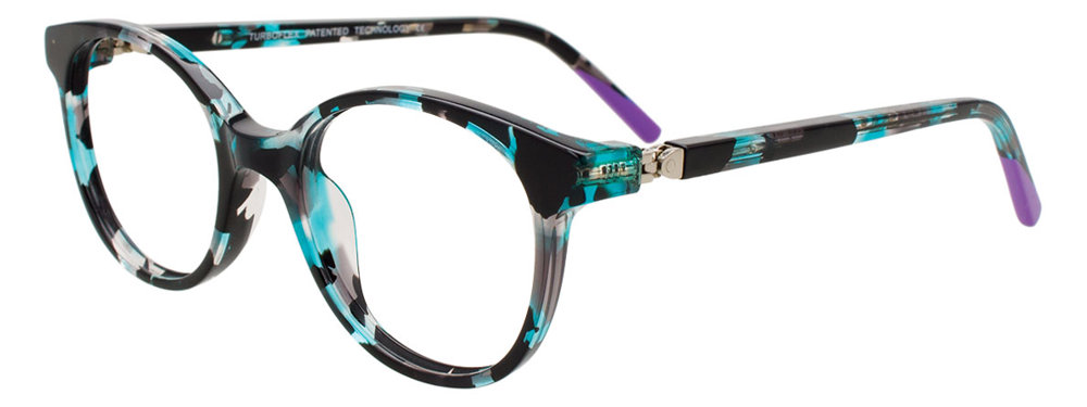 Teal Tortoise & Purple