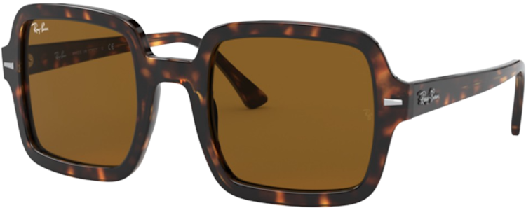 TORTOISE / B-15 BROWN