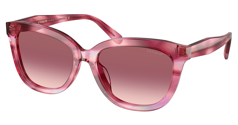 PURPLE COSMO TORTOISE / PURPLE GRADIENT