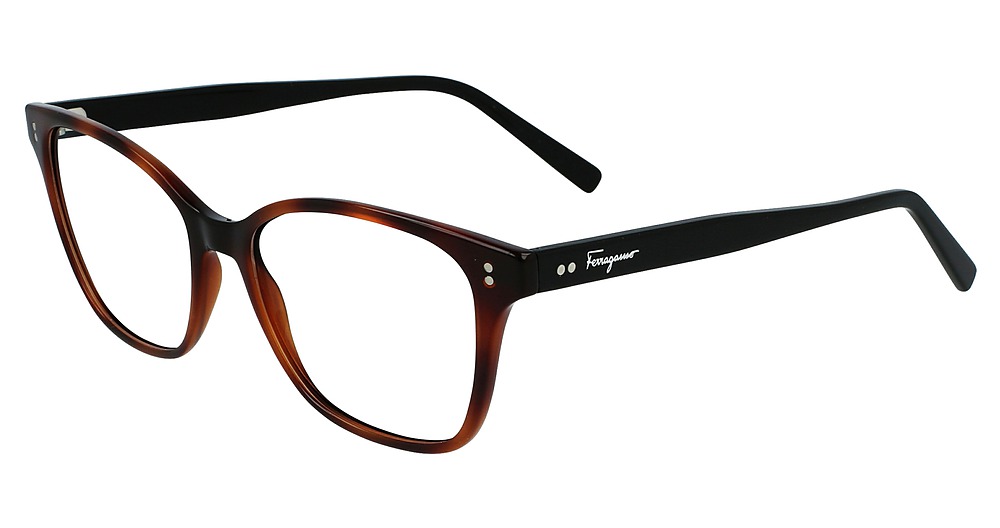 TORTOISE/BLACK