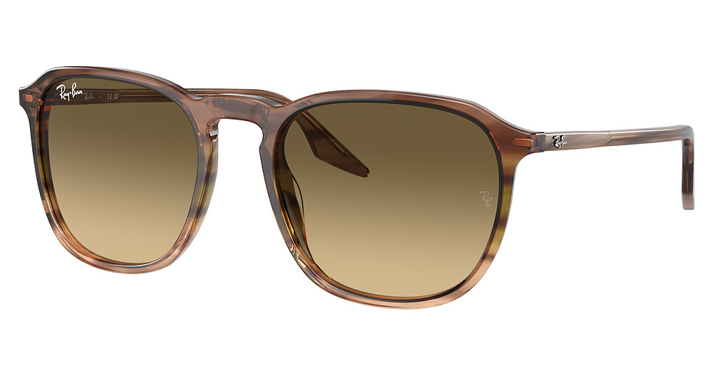 Ray-Ban RB2203F round sunglasses in Striped Brown Gradient G