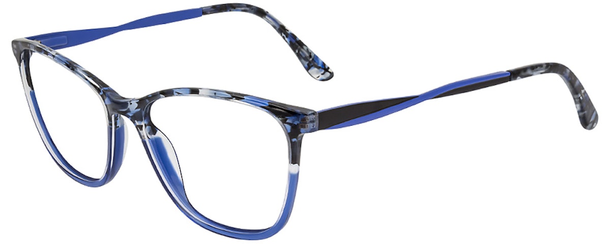 Blue Tortoise