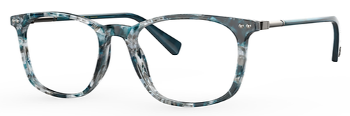 TEAL TORTOISE