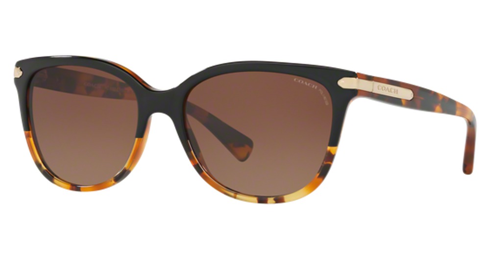 BLACK TORTOISE GRADIENT / BROWN GRADIENT POLAR