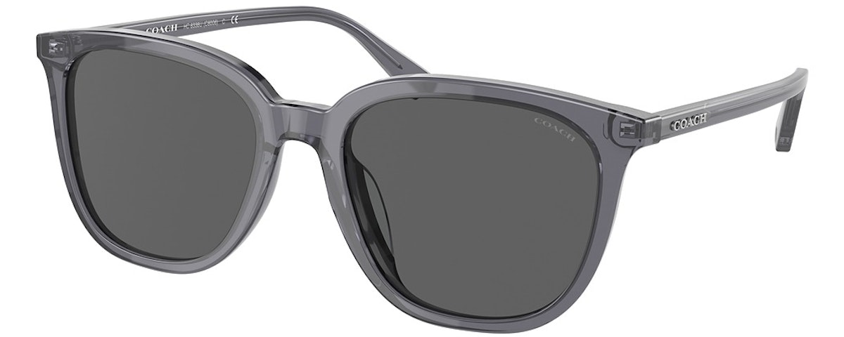 TRANSPARENT DARK GREY / DARK GREY SOLID