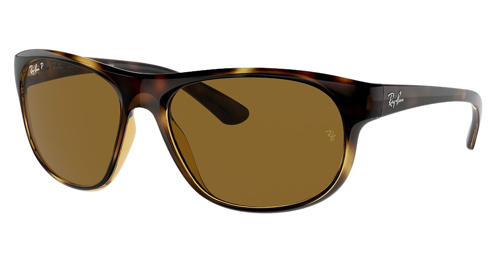 Ray-Ban RB4351 round sunglasses in Havana/Dark Brown Polarized