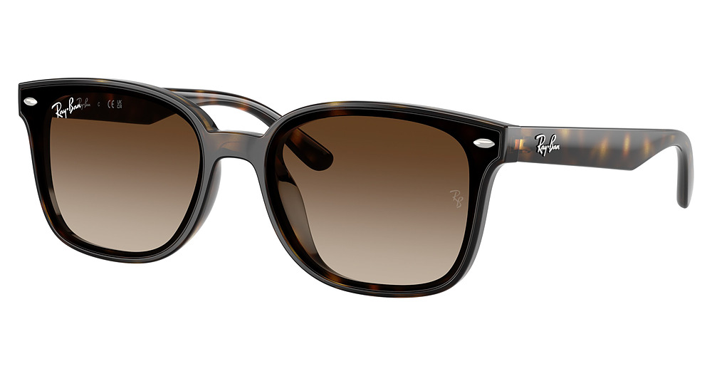 Ray-Ban RB4461D square sunglasses in Havana/Gradient Brown