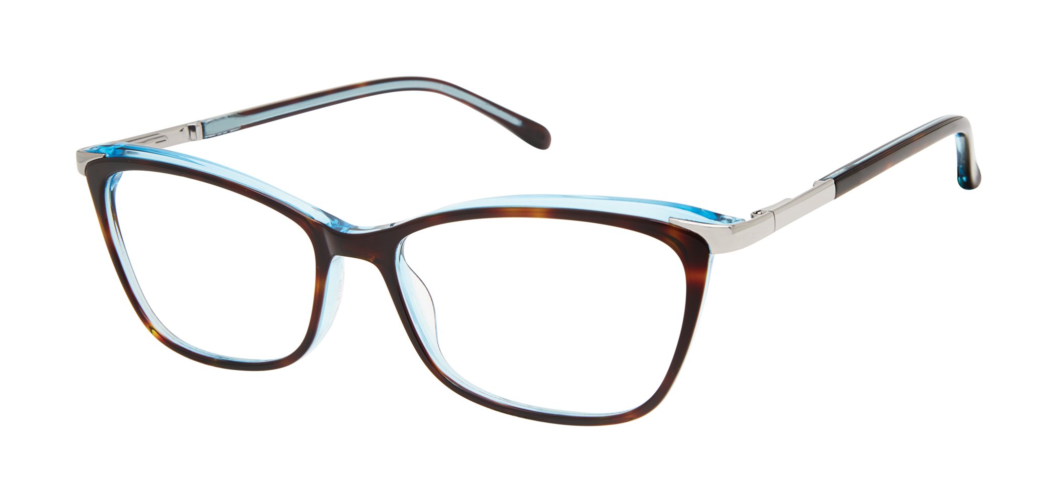 Tortoise Blue