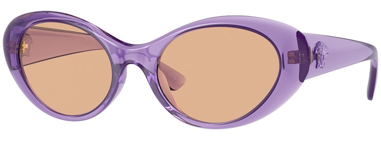 PURPLE TRANSPARENT / DARK BROWN