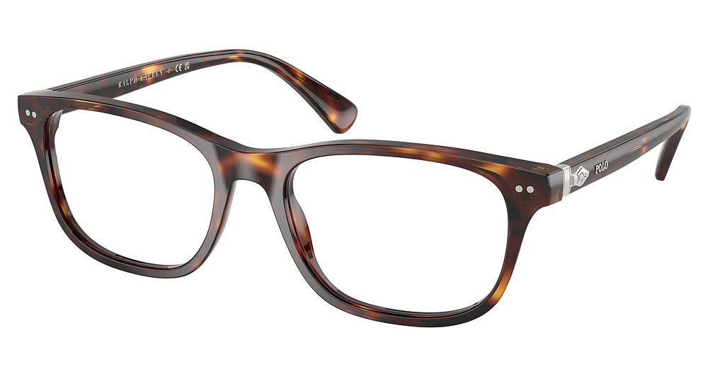 SHINY BROWN TORTOISE