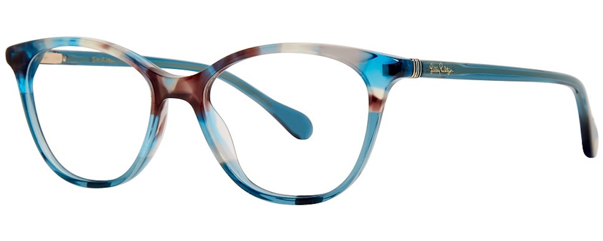 Teal Tortoise