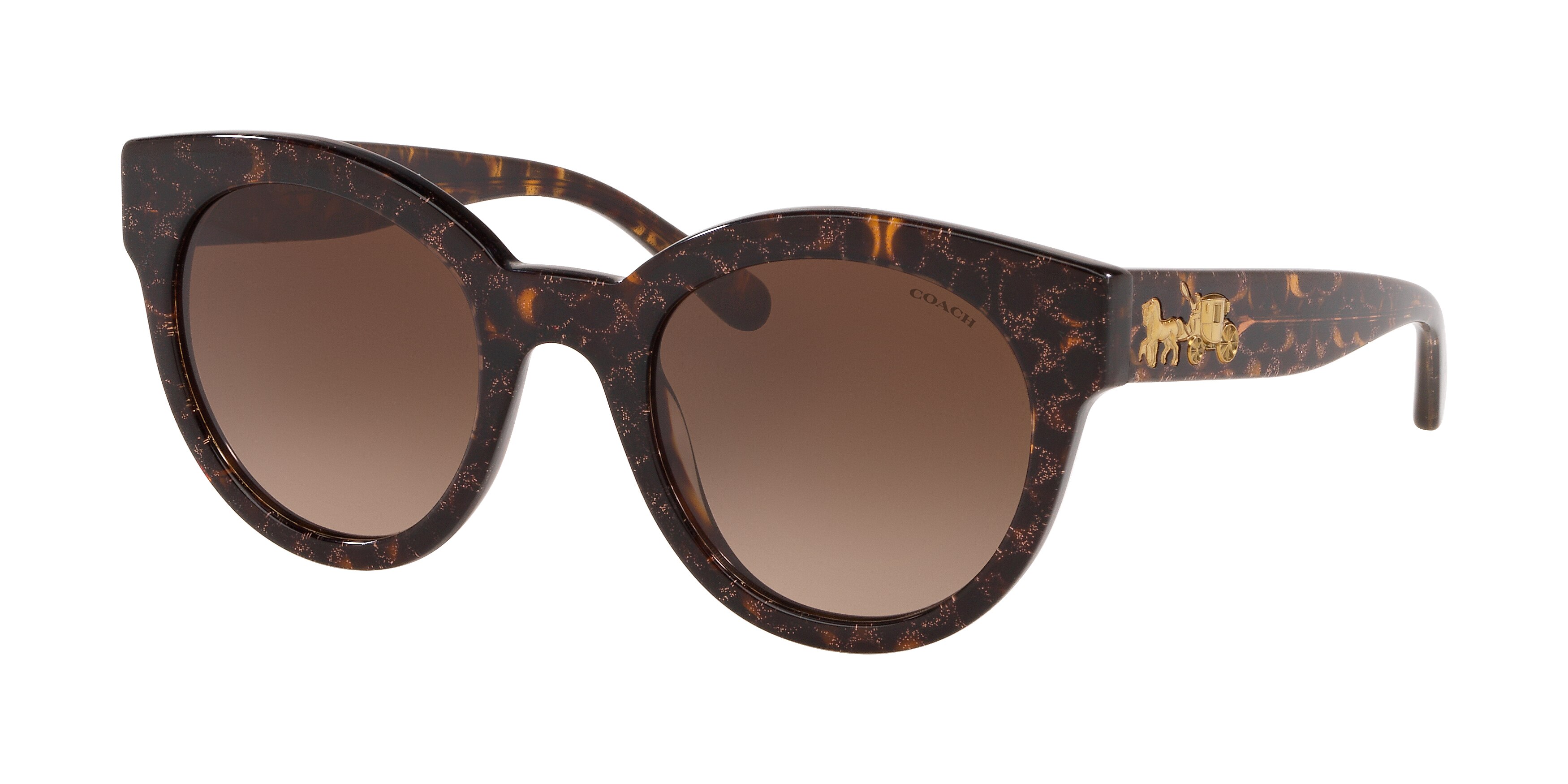 TORTOISE GLITTER SIGNATURE C