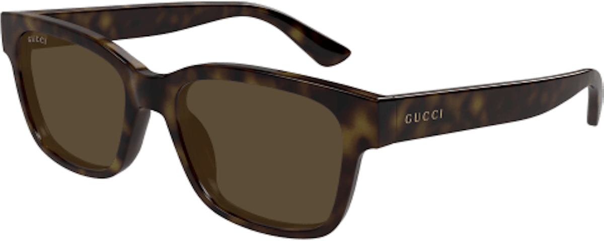 HAVANA / BROWN