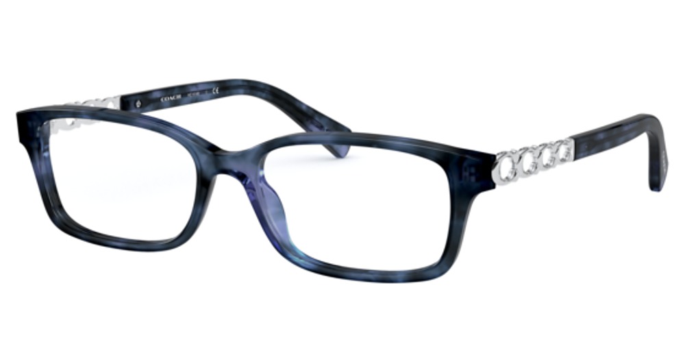 BLUE TORTOISE