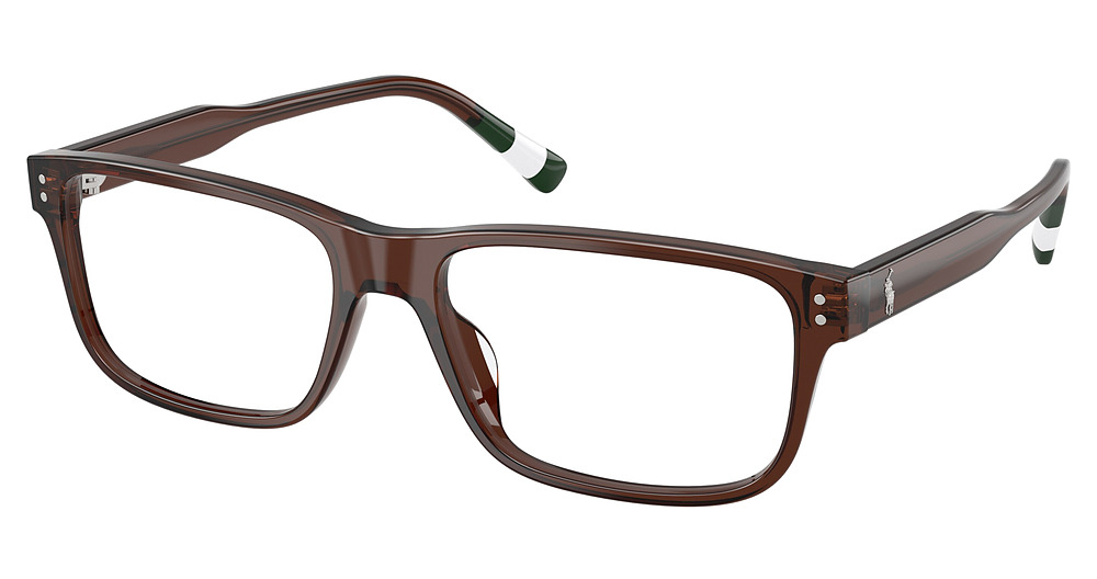 SHINY TRANSPARENT BROWN