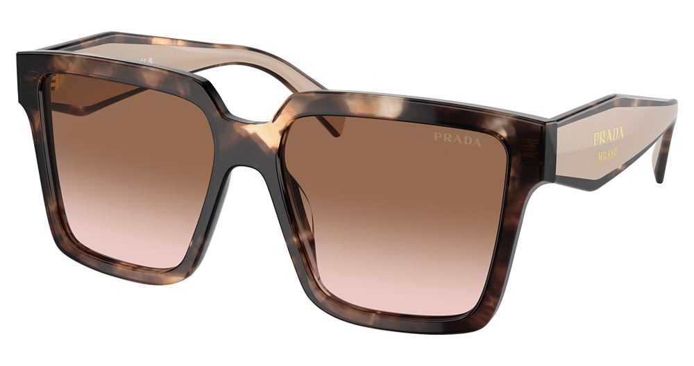 CARAMEL TORTOISE / BROWN GRADIENT