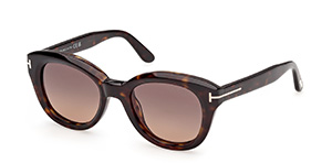 dark havana / gradient bordeaux