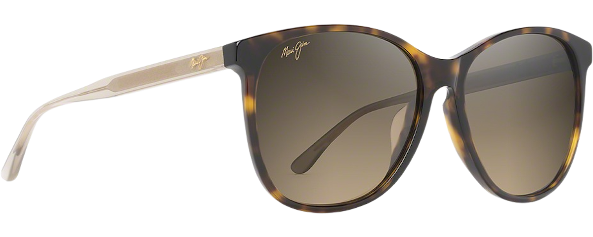 Tortoise w/ Trans Tan Temples / HCL Bronze