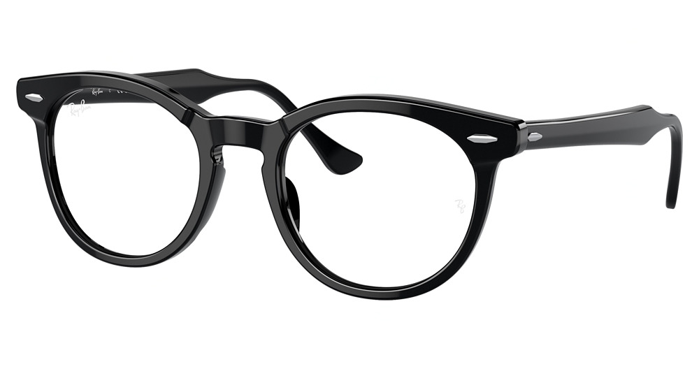 Ray-Ban RX5598F #N/D round eyeglasses in Black