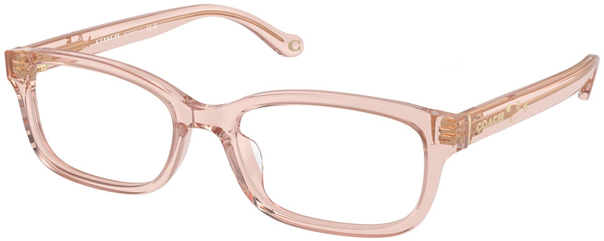TRANSPARENT DUSTY ROSE