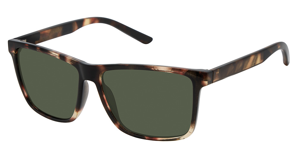 Tortoise / Green Polarized