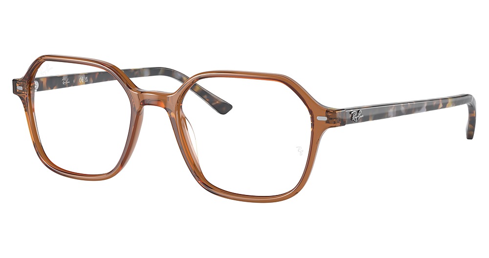 Ray-Ban RX5394 JOHN round eyeglasses in Transparent Brown