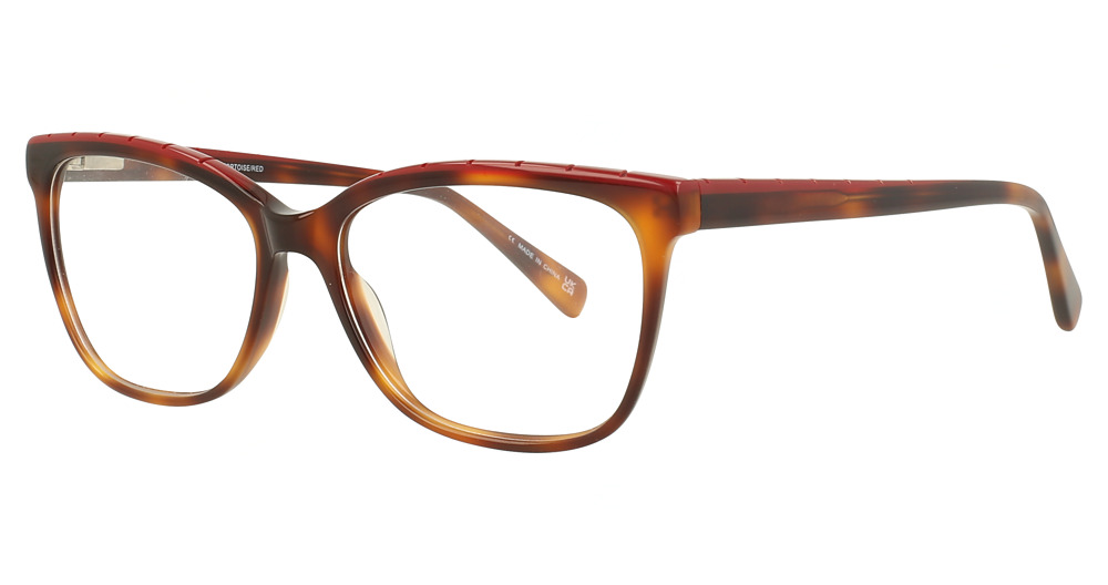 Tortoise/Red