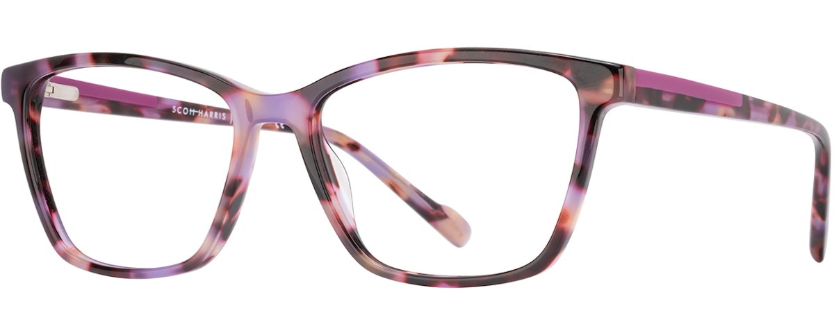 Tortoise / Red