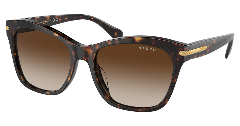 SHINY DARK HAVANA / GRADIENT BROWN