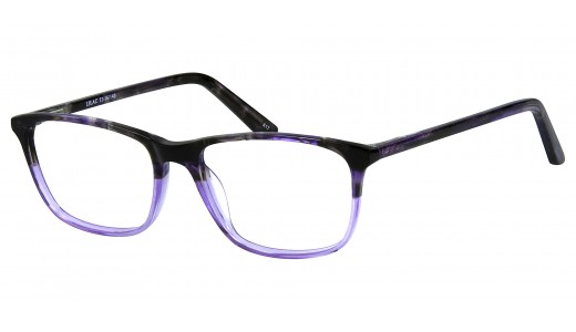 Purple/Rose