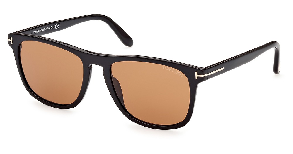 shiny black / brown
