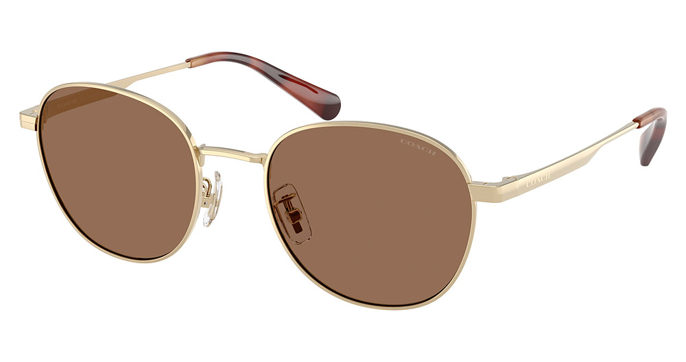 SHINY LIGHT GOLD / BROWN SOLID