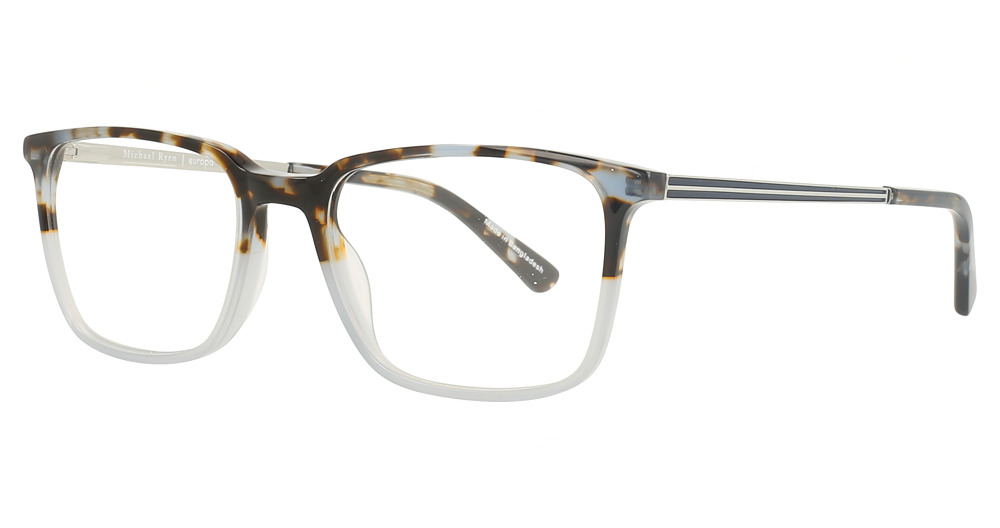 Silver Tortoise