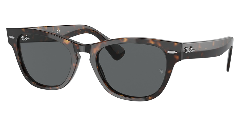TORTOISE / DARK GREY